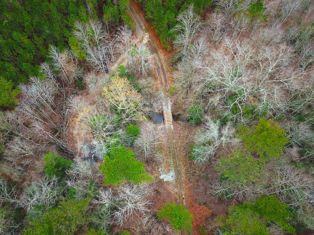 Skippers, VA 84 acres Land and Farms Realty